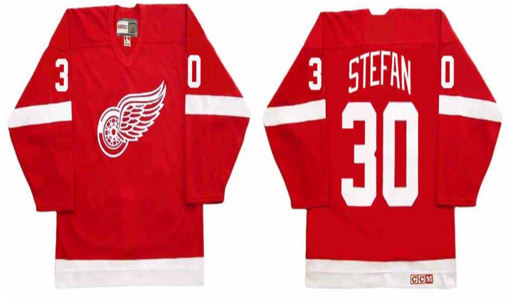 2019 Men Detroit Red Wings #30 Stefan Red CCM NHL jerseys->detroit red wings->NHL Jersey